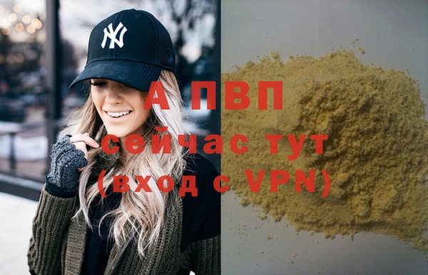 соль ск Гусев