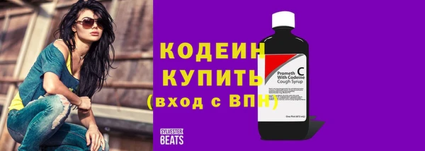 соль ск Гусев