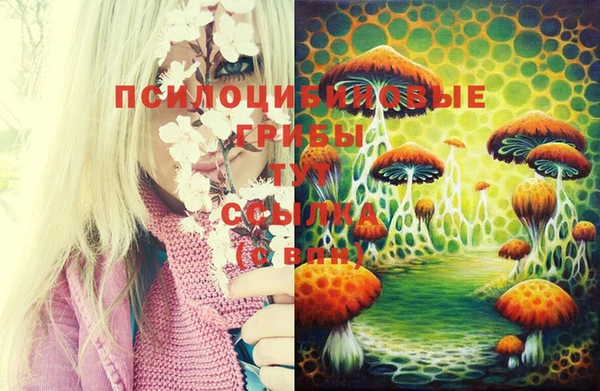 первитин Гусь-Хрустальный