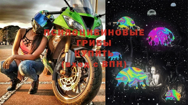 стафф Гусиноозёрск