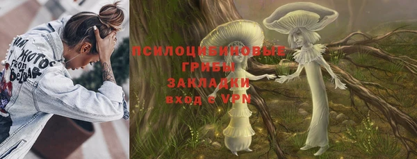 соль ск Гусев