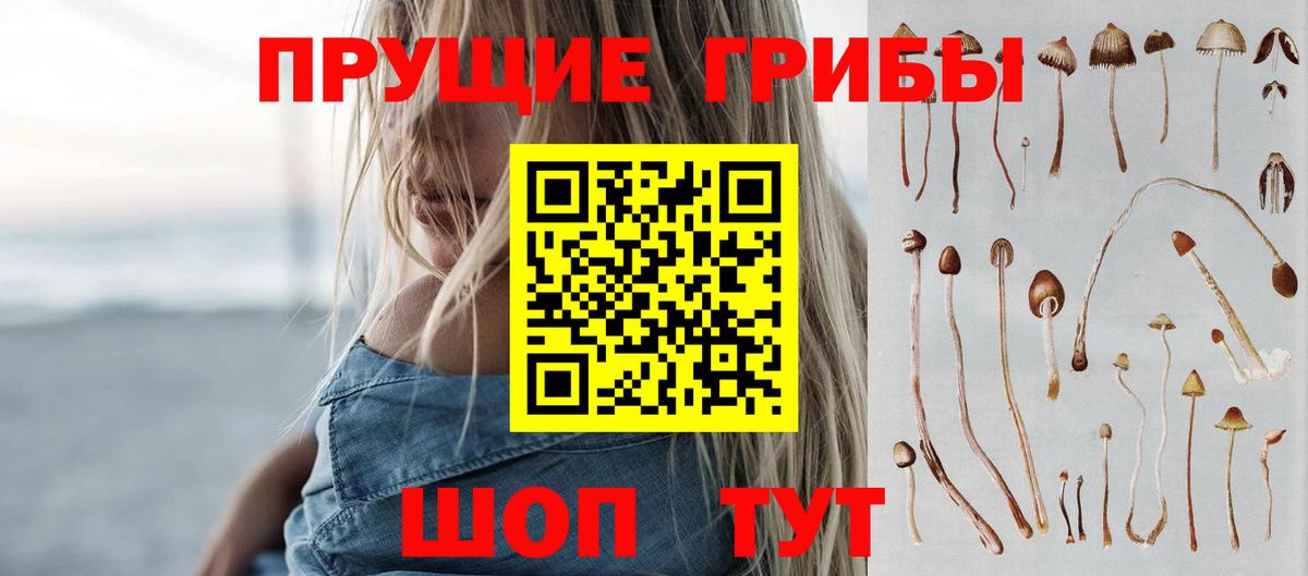 Галлюциногенные грибы Psilocybine cubensis  Вход с VPN  Галлюциногенные грибы Psilocybe  Донецк 